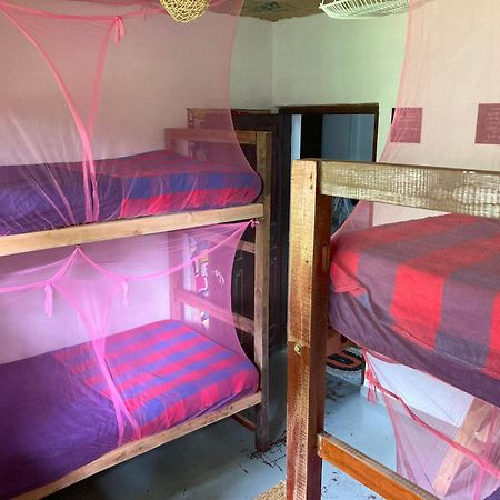 Hostel Singha Lounge أونا واتونا المظهر الخارجي الصورة
