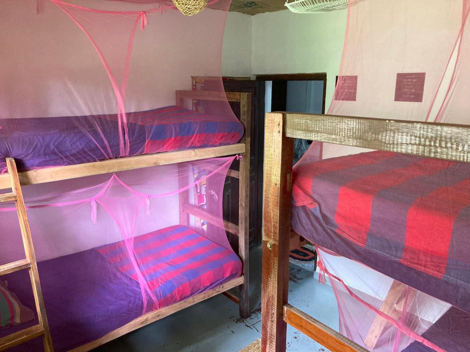 Hostel Singha Lounge أونا واتونا المظهر الخارجي الصورة
