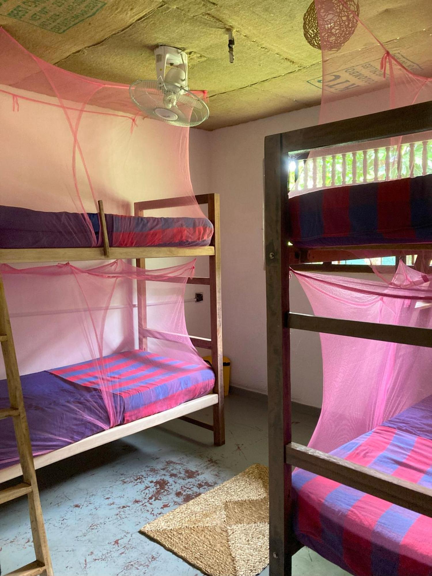 Hostel Singha Lounge أونا واتونا المظهر الخارجي الصورة