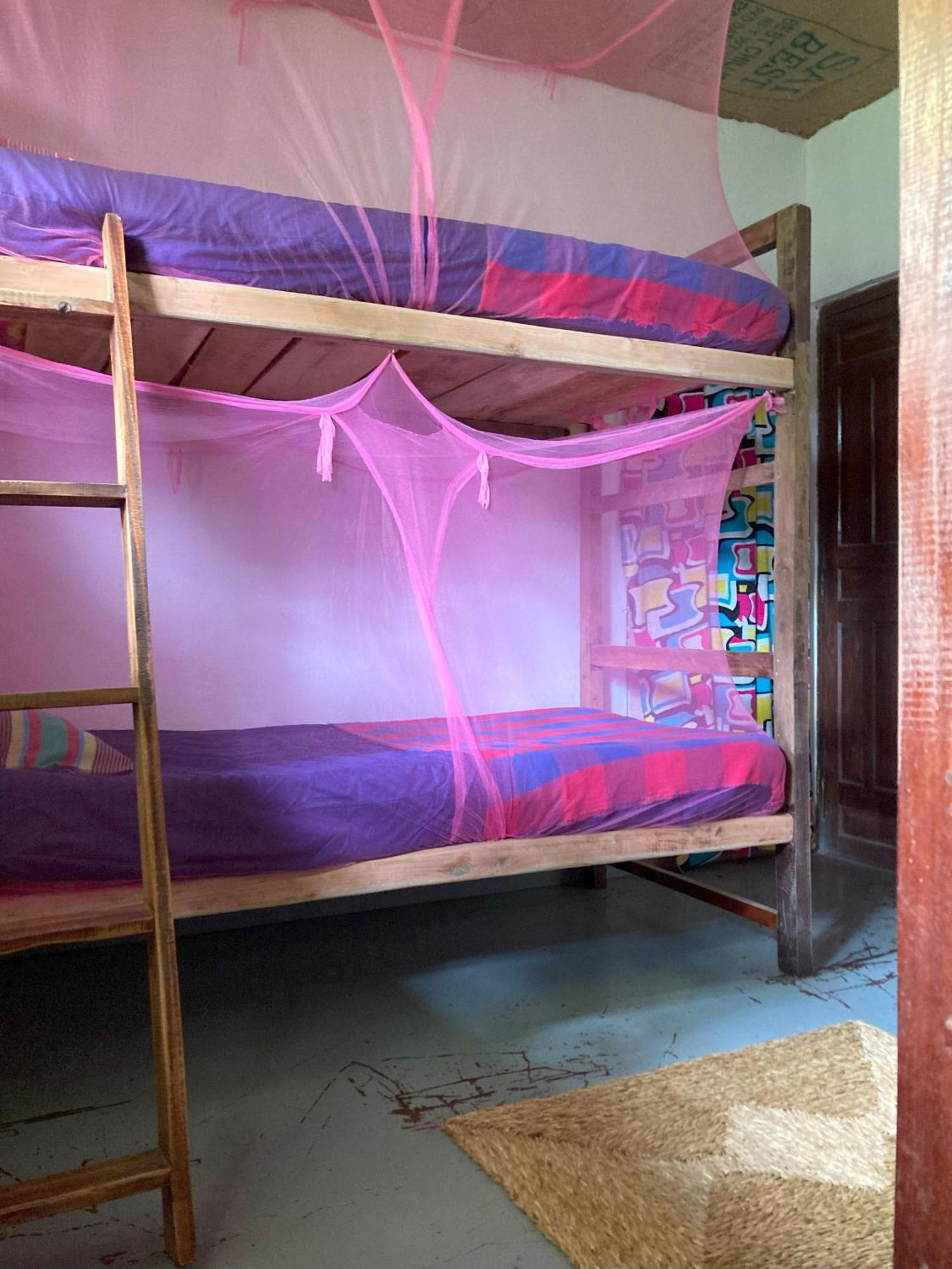 Hostel Singha Lounge أونا واتونا المظهر الخارجي الصورة