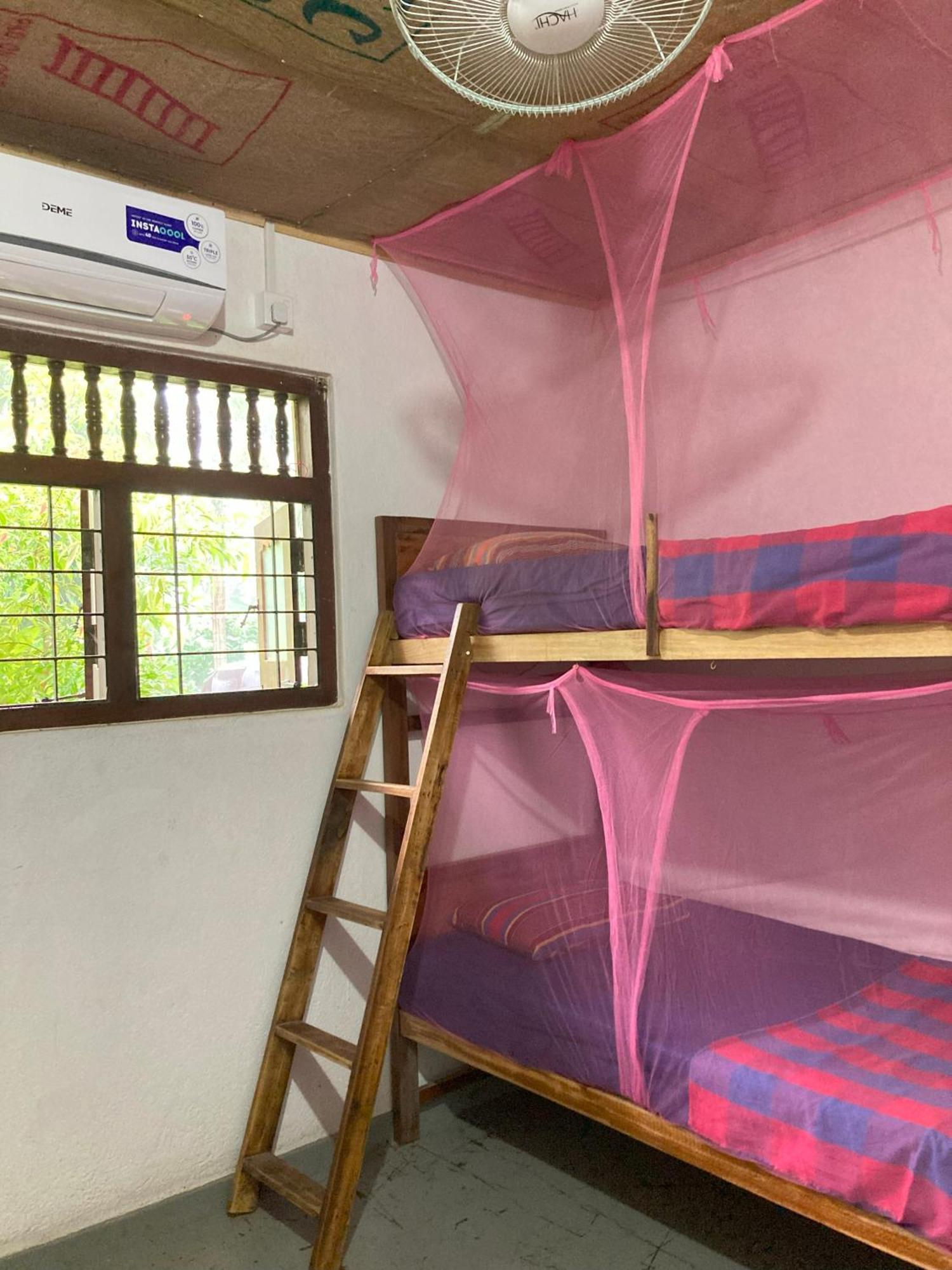 Hostel Singha Lounge أونا واتونا المظهر الخارجي الصورة