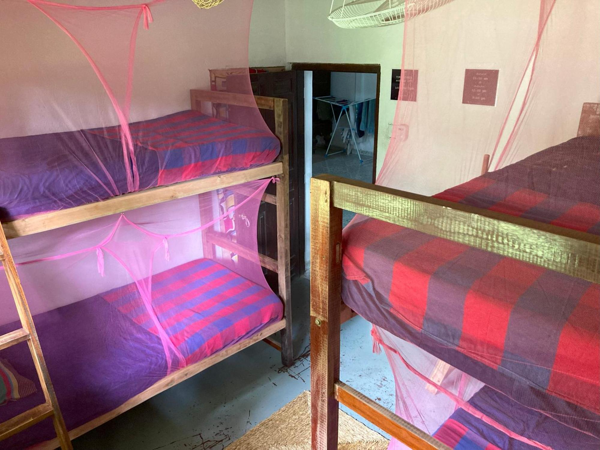 Hostel Singha Lounge أونا واتونا المظهر الخارجي الصورة