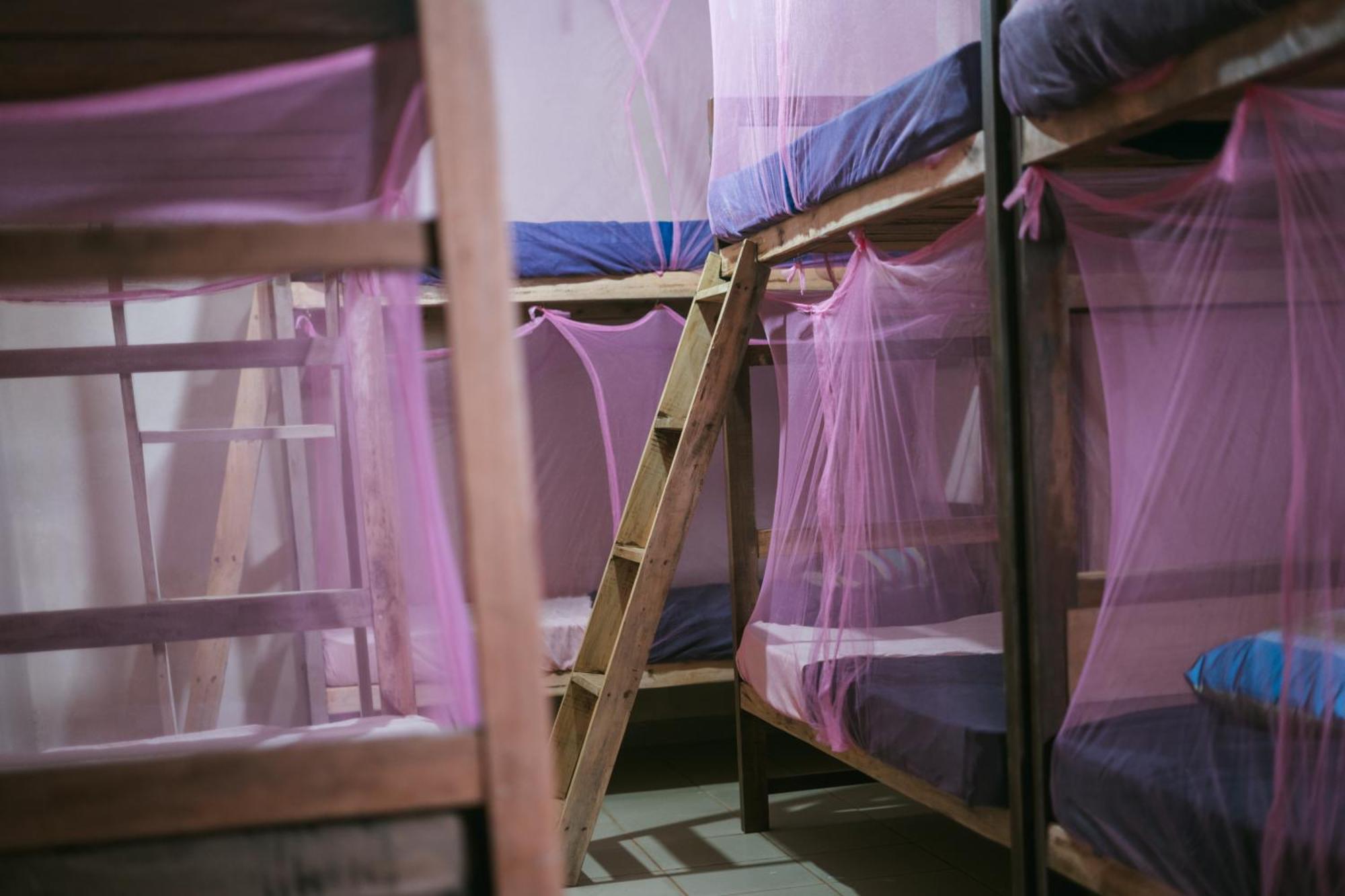 Hostel Singha Lounge أونا واتونا المظهر الخارجي الصورة
